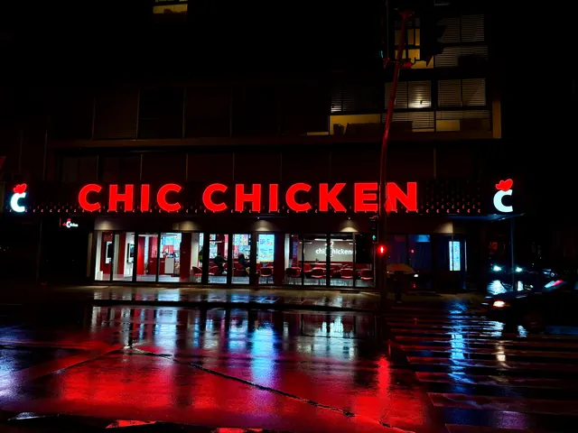 CHIC CHICKEN – PLAINPALAIS, GENÈVE — Enseigne lumineuse, Genève